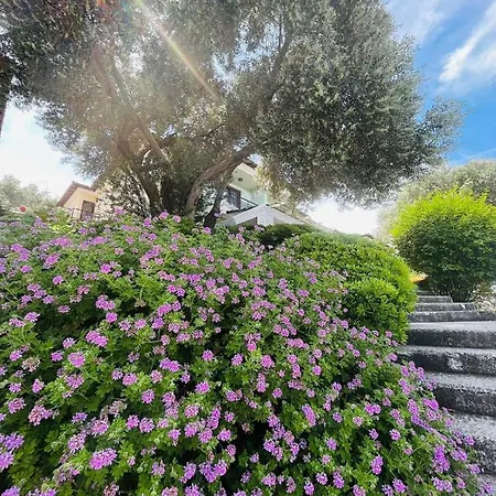 Superb Flat With Shared Pool In Cesme